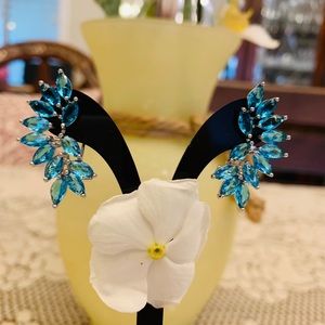 925 sterling silver earrings